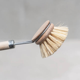 Dish Brush